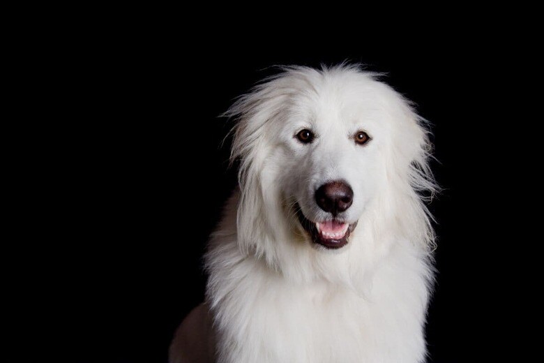 （写真はイメージです）　Jsheets19-iStock