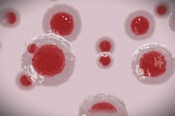 細胞を若返らせるカギが発見される...日本の研究チームが発表【最新研究】