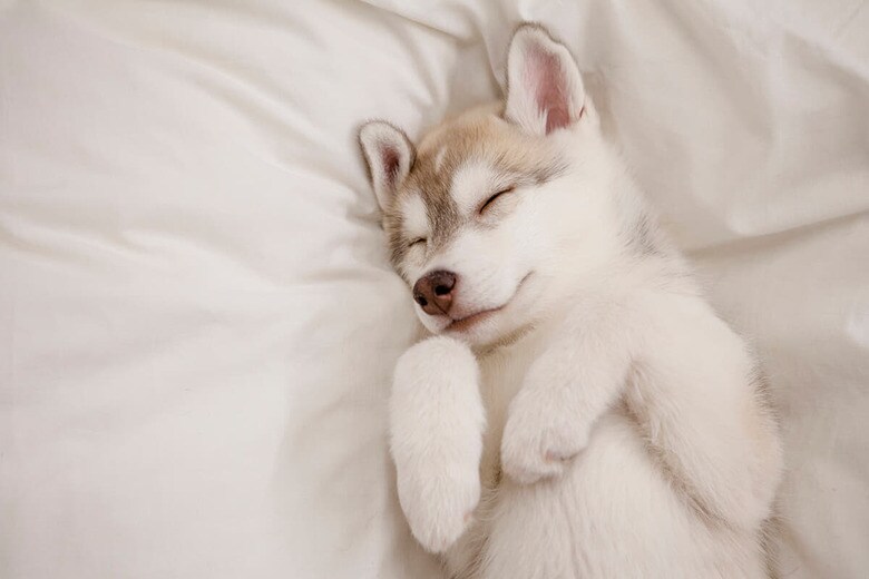 （写真はイメージです）　Sergeeva-iStock