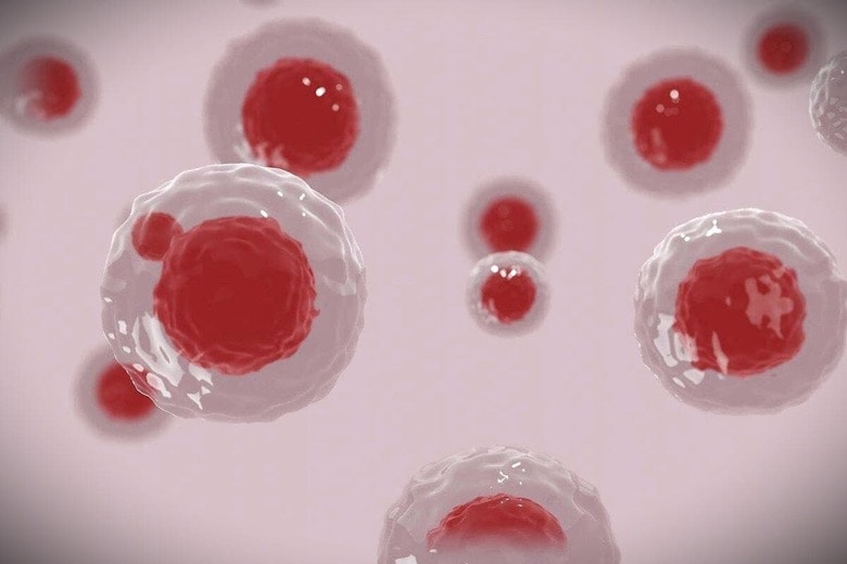 Mahmoud-Ahmed-pixabay