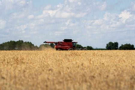 写真は6月12日、米オクラホマ州クレムリンの小麦畑で撮影。REUTERS/Nick Oxford