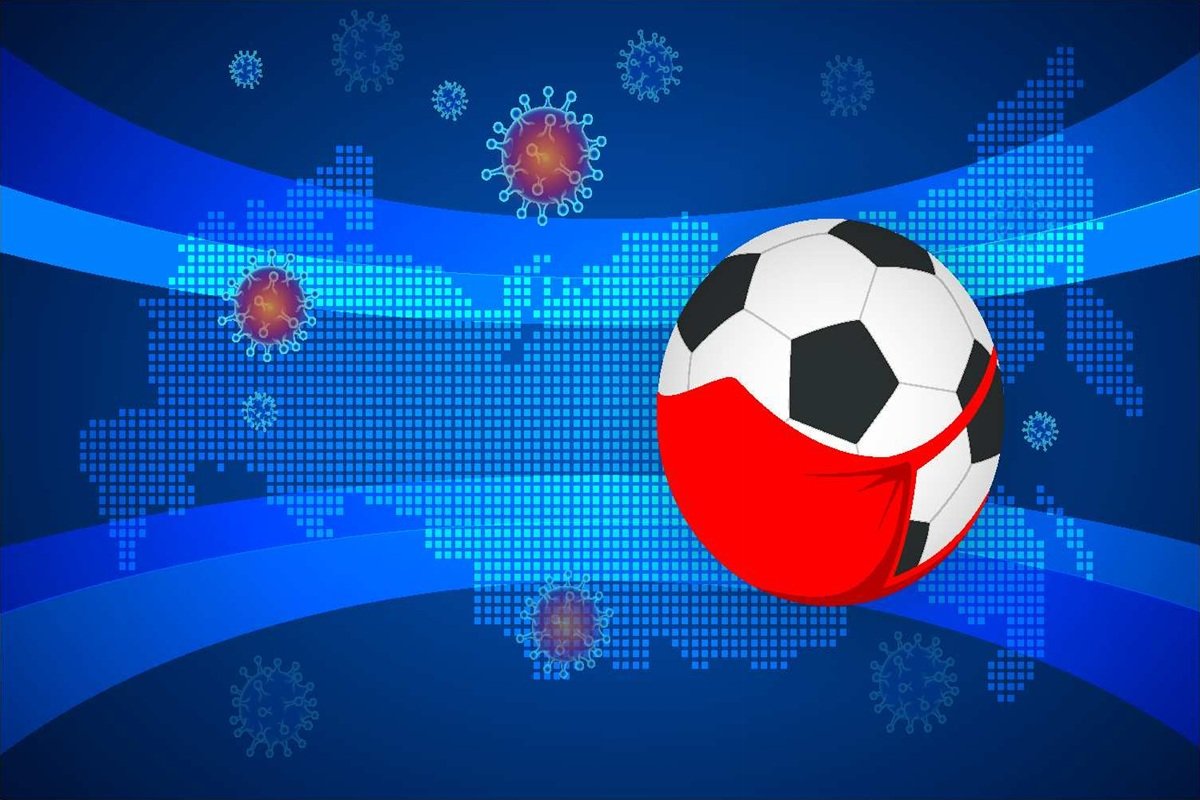 1か月後に開催されるW杯がハンタウイルス感染拡大のきっかけに！？　専門家の見解は

W杯では、ハンタウイルスの感染事例が急増している国からもサポーターが駆けつけることになるが