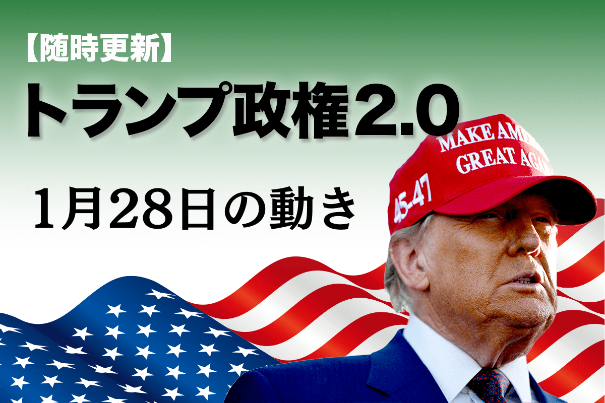 【送料なしで約17000円】⚠️注意ありreborn! トランプ maxresdefault.jpg