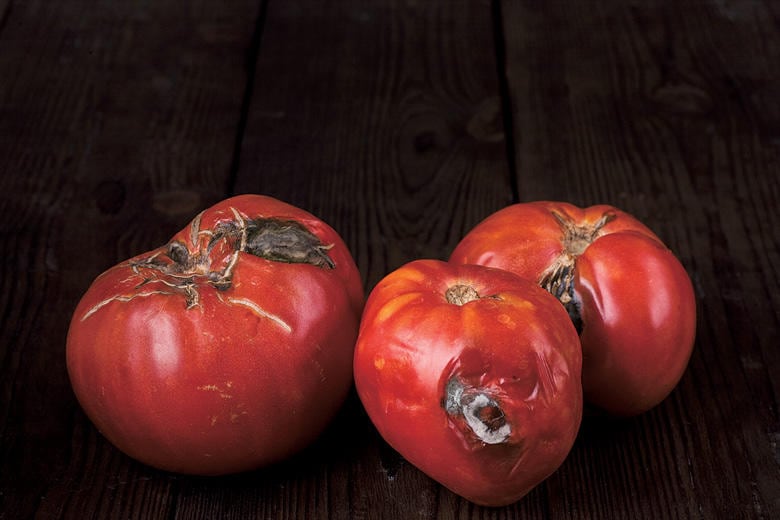 DENISHIPUNOV/ISTOCKPHOTO