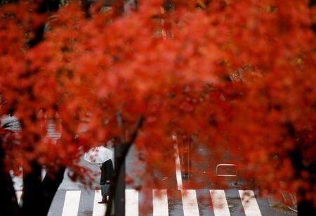 　１２月８日、磯崎仁彦官房副長官は会見で、子育て世代への１０万円給付について、どのような場合に全額を現金にすることができるのか、具体的な運用方法を検討していきたいと述べた。都内で撮影（２０２１年　ロイター/Issei Kato）