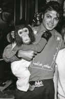 1983年に引き取ったチンパンジーのバブルスはマイケルにとってペットではなく友達だった（86年）　MPTV-REUTERS