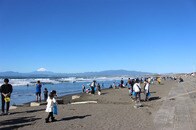 相模湾の海洋環境を守る「未来への挑戦」──シナネンあかりの森プロジェクト×新江ノ島水族館