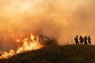 セルビア自然保護区で大規模山火事、ＥＵがヘリ・消防隊など派遣