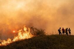セルビア自然保護区で大規模山火事、ＥＵがヘリ・消防隊など派遣