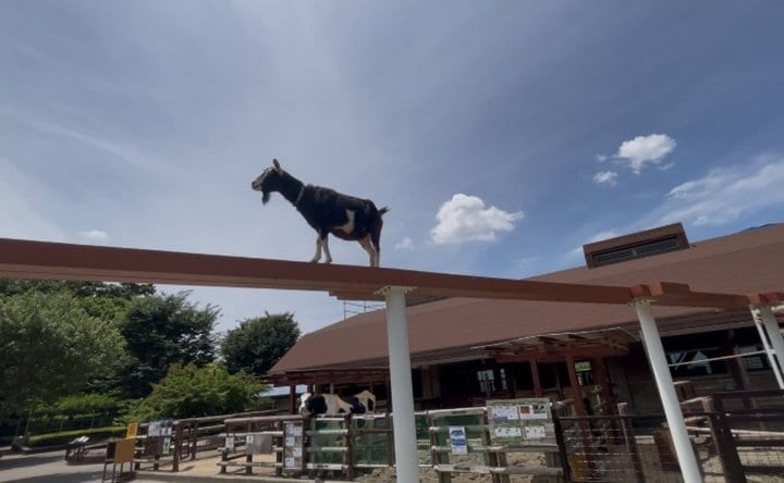 市川市動植物園