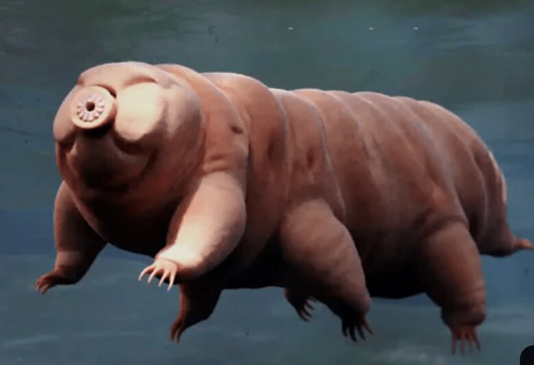 UC San Diego Biological Sciences/YouTube