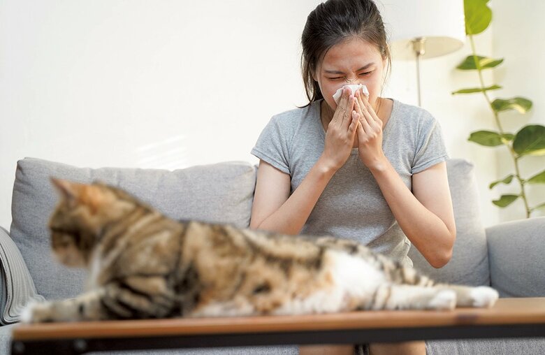 アレルギー持ちにとってはペットが不和の原因にも　KOMOOTP/SHUTTERSTOCK