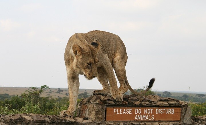 Edmund Blair-REUTERS