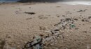 スペインに次々流れ着くマイクロプラスチック 中央政府は嬉しそう？
