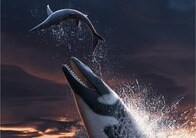 モササウルス類すら餌にする、最強の「モササウルスの新種」の化石を発見