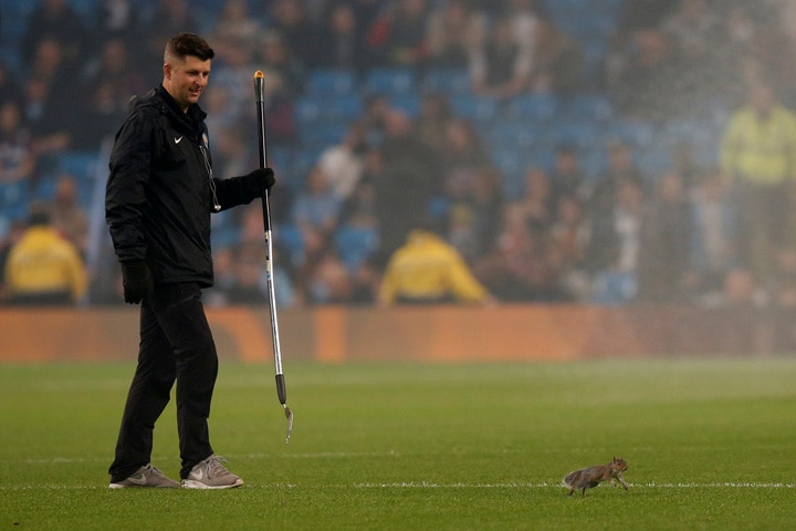 リスとスタッフの攻防は数分間続いた　Andrew Yates-REUTERS