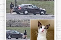 【写真】猫をケージごと「公園のごみ箱に捨てた」女性の正体