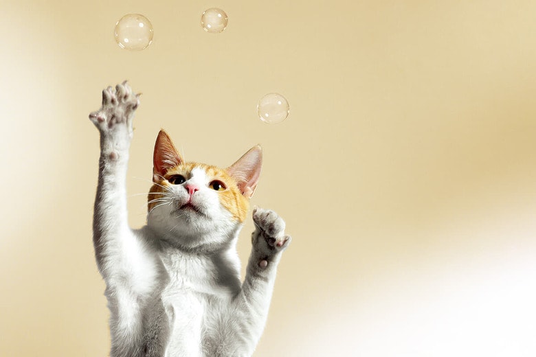 RICHARD NEWSTEAD/ISTOCK