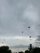 現在のミャンマーヤンゴンのコロナの様子