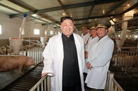 北朝鮮、米原子力空母攻撃の用意ある＝労働党機関紙