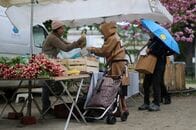 ユーロ圏消費者インフレ期待、横ばいか低下＝ＥＣＢ月次調査