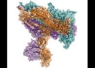 新型コロナ解析に世界が結集した「Folding@ home」、世界最大級のスーパーコンピュータに