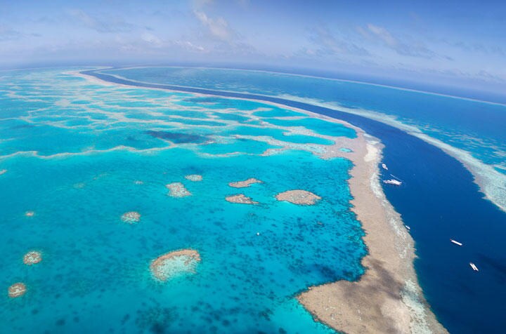 グレートバリアリーフ周辺の深海には炭素を吸収する海草の巨大な生態系が　Maerie/iStock.