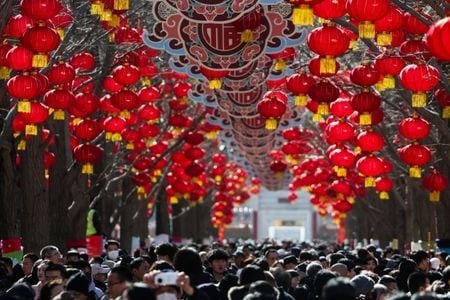 写真は旧正月を祝う北京の公園の様子。2月18日、北京で撮影。REUTERS/Maxim Shemetov