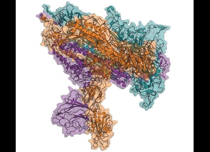 参加する有志は2月時点の3万台から70万台へと大幅に増加　Folding@home