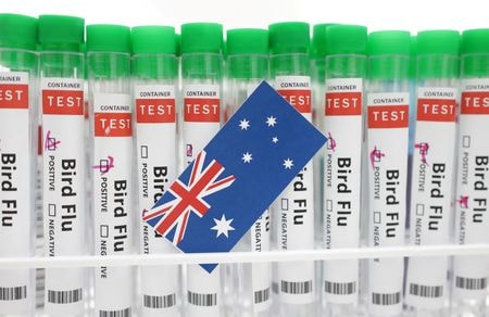 米農務省は２４日、豪ビクトリア州で高病原性鳥インフルエンザが検出されたことを受け、同州からの特定の家禽（かきん）類と副産物の輸入を２２日から禁止したと発表した。写真は２０２３年１月撮影（２０２４年　ロイター／DADO RUVIC）