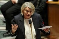 客船集団感染のハンタウイルス、変異示す根拠なし＝仏保健相