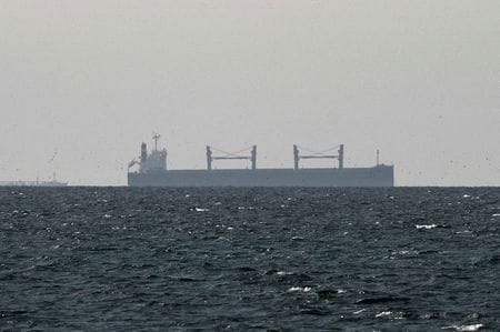 2026年3月11日、ホルムズ海峡に近い湾内の貨物船。REUTERS