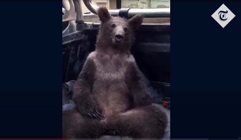 The Telegraph-YouTube