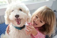「自分は犬だと思っている？」まるでもののけ姫──5匹のわんこと育った幼女、犬みたいな行動がキュート