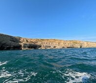 1億6000万年前の海にいた「異形のイカ」…新種の化石から判明した驚くべき姿