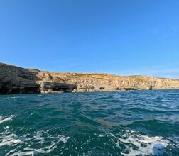 1億6000万年前の海にいた「異形のイカ」…新種の化石から判明した驚くべき姿