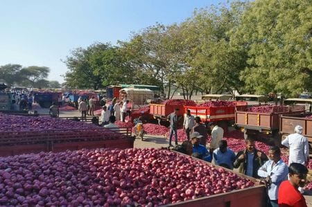 　インド政府は８月１９日、国内の玉ネギ価格高騰を抑制するために年末まで４０％の輸出関税を課すと発表した。写真は２０１８年１２月、西部マハラシュトラ州の市場で、タマネギの競りを待つ農民ら（２０２３年　ロイター/Rajendra Jadhav）