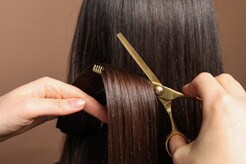 美容院の「ゴミ」が地球を救う？　欧州発「究極の循環型社会」