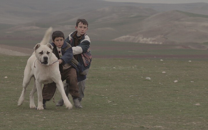 アスラン(中)は負け犬だったシーヴァスを助け、かけがえのない関係を築いていく ©COLOURED GIRAFFES