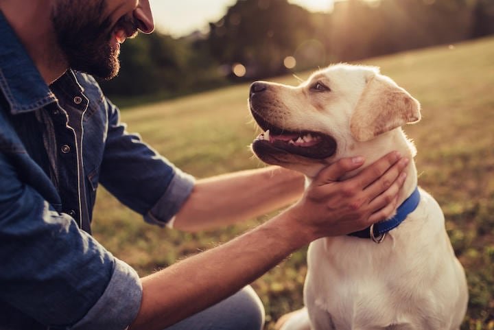 「犬の年齢に7をかける」じゃなかった...... Vasyl Dolmatov-iStock