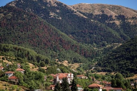 ギリシャのペロポネソス半島にあるカラブリタ村の上空で、長引く干ばつにより枯れつつある赤みがかったモミの木々が害虫の被害にさらされている様子が映し出されている。2025年7月9日撮影。ロイター/ルイザ・ゴウリアマキ