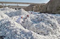 ウイグル弾圧で生産された「新疆綿」を日の丸アパレルが使用？
