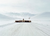 【写真特集】天山山脈を生きるオオカミハンター