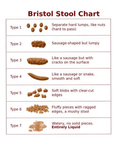 Bristol_stool_chart.jpg