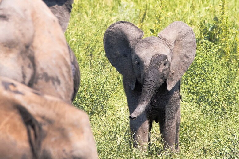 （写真はイメージです）　Roelof Schoeman-iStock