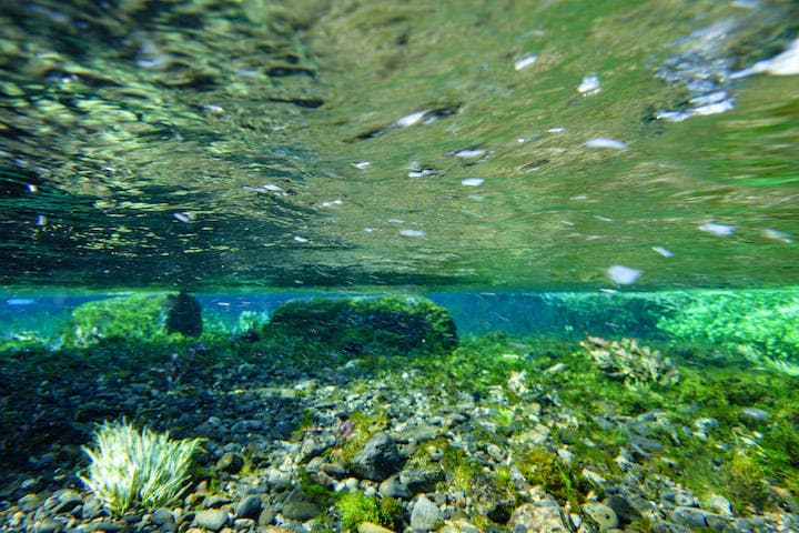 撮影：内村コースケ