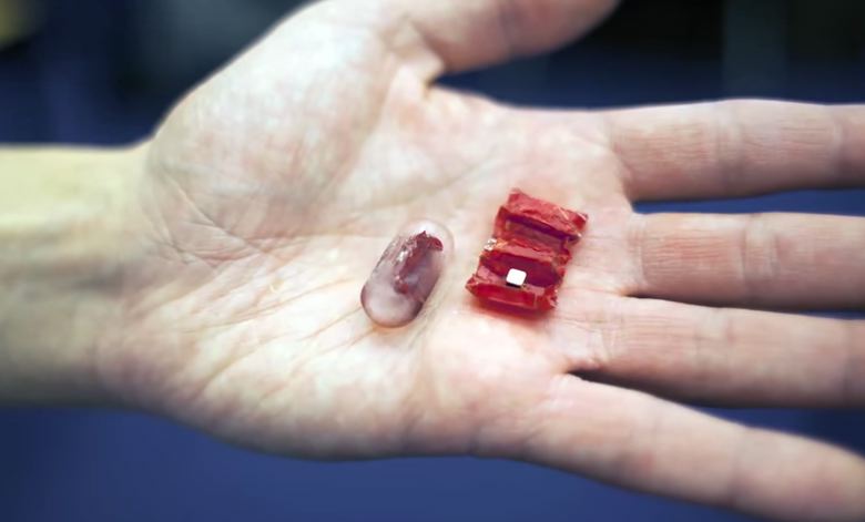 豚の腸で出来たマイクロロボットが、飲み込まれた電池を取り込んで、体外に排出する　　Massachusetts Institute of Technology-YouTube