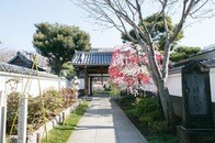 中国人が日本の仏教に心酔する理由