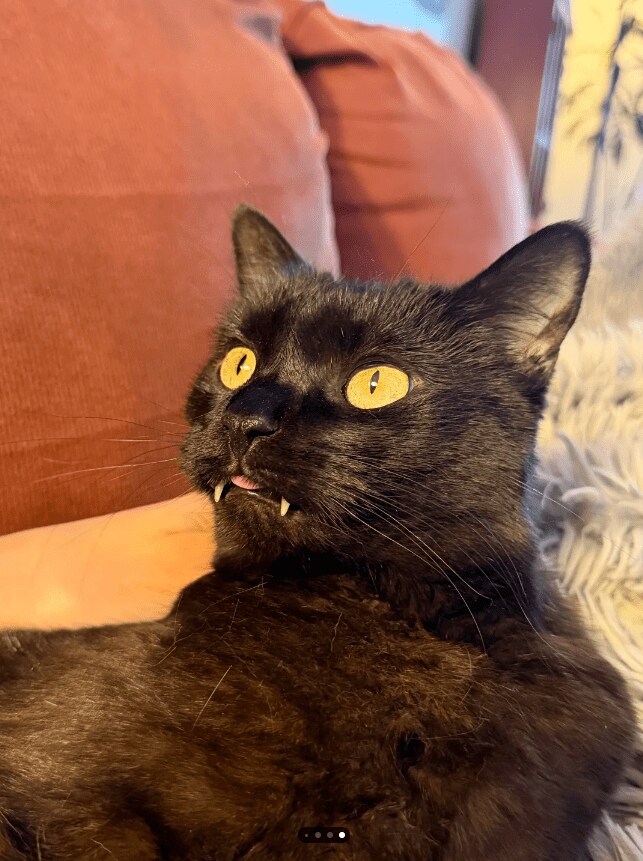 スクリーンショット (79).png