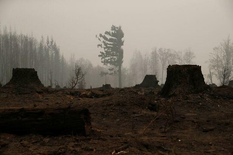 米西部で発生した大規模な山火事はなお勢いが衰えず、各地で懸命の消火活動が続いている。オレゴン州モララで16日撮影(2020年　ロイター/SHANNON STAPLETON)